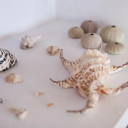 빌라 Mela 플라야 온다